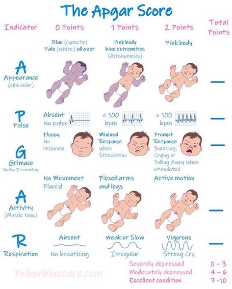 Nicu Nurse Education, Newborn Care Tips, Apgar Score, Nurse Education, Emt Study, Newborn Nursing, Midwifery Student, Student Midwife, Nursing School Essential