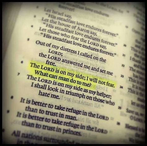 I w not fear    Psalm 118 6 God Is On My Side, Gods Plans, Psalm 118 6, Lifting Quotes, Bible Timeline, Fear No Man, Bible Psalms, God Is For Me, I Have Faith