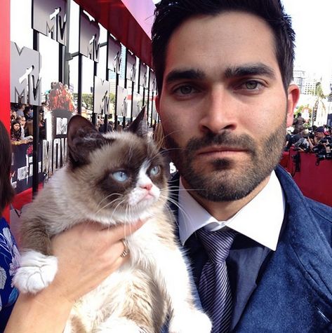 14 hot guy celebs posing with cats is probably all you’ve ever wanted in life – SheKnows Stiles Teen Wolf, Teen Wolf Boy, Men With Cats, Cat Meeting, Hottest Male Celebrities, Teen Wolf Stiles, Teen Wolf Cast, Derek Hale, Scott Mccall