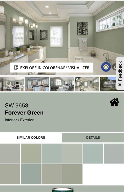 Gray Floor Green Wall Bathroom, Green Paint For Bathroom Walls, Light Green Half Bathroom, Light Green Paint Colors Bathroom, Every Green Fog Bathroom, Light Green Bathroom Ideas, Light Green Bathroom, Light Green Bathrooms, Green Bathrooms