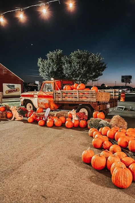 As fall rolls around each year, farms in #Oklahoma gear up to share their harvest bounty with plump pumpkins, vast corn mazes and family-friendly autumn fun! Oklahoma State Parks, Fun On The Farm, Pumpkin Patch Farm, Harvest Corn, Farm Lifestyle, Fall Mood Board, Fall Faves, Fall Fest, Pumpkin Farm