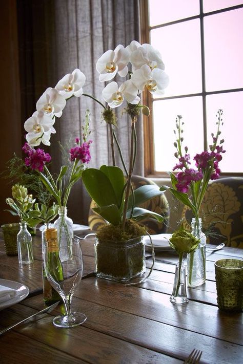 simple cheery wedding centerpiece orchids | Simple orchid centerpiece Orchid Wedding Decor Reception Ideas, Orchid Wedding Centerpieces Simple, Orchid Plant Centerpiece Wedding, Orchid Centerpiece Wedding, Orchid Table Decor, Orchid Table Centerpiece, Orchid Wedding Decor, Potted Orchid Centerpiece, Centerpieces Orchids