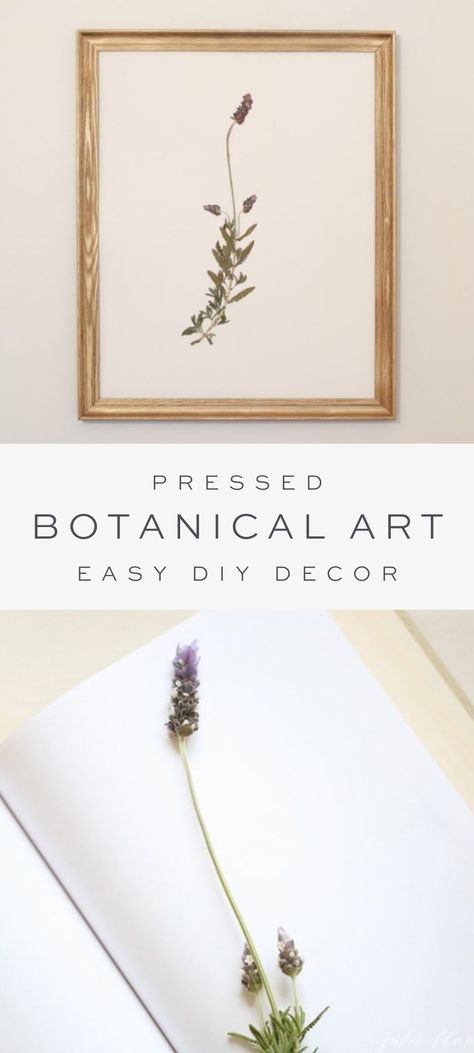 Pressed Botanical Art, Lake House Interior, Pressed Botanicals, Julie Blanner, Pressed Leaves, Framed Botanicals, Fun Diy Crafts, Botanical Wall Art, Diy Frame