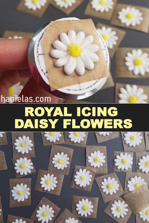 How To Make Icing Daisies, Royal Icing Flowers Recipe, Daisy Royal Icing Transfers, Making Icing Flowers, Daisy Icing Flowers, Daisy Cake Decorations, Royal Icing Flowers Tutorial How To Make, Frosting Flowers Easy, Royal Icing Daisies