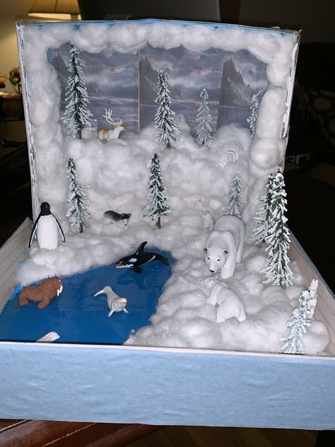 Attic Tundra Biome, Arctic Project, Penguin Diorama, Tundra Project, Ecosystems Diorama, Tundra Biome, Biome Project, Habitat Project, Penguins Project