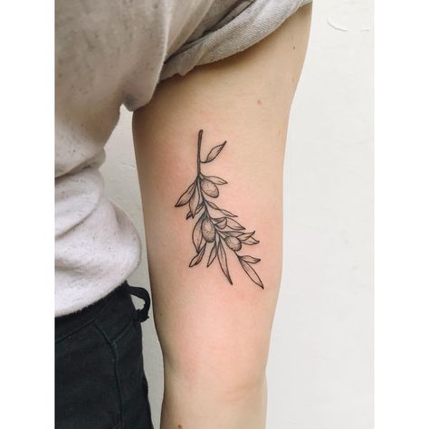 Green Olive Tattoo, Oliver Tattoo, Oak Leaf Tattoos, Olive Tattoo, Olive Branch Tattoo, Lily Flower Tattoos, Branch Tattoo, Watercolor Tattoo Flower, Back At Work