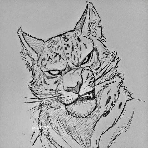 Big Cat Sketch, Cat Drawing Tutorial, Animal Drawings Sketches, Cat Sketch, Big Cats Art, Tiger Art, Arte Inspo, Cat Eyes, Art Drawings Sketches Creative