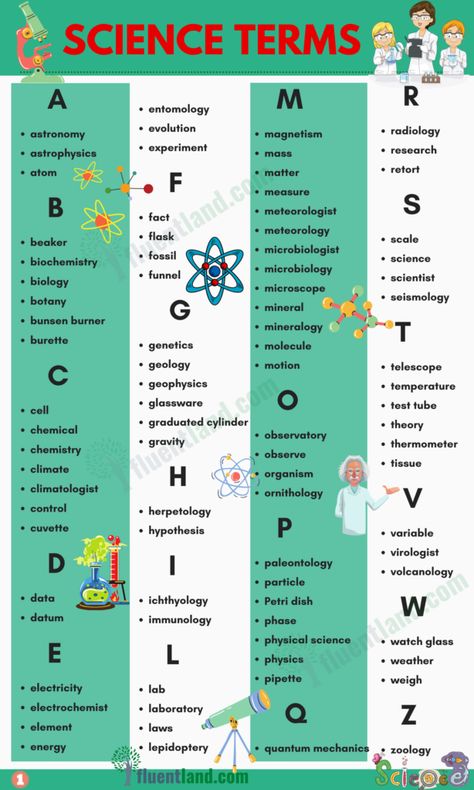 Science Vocabulary Word List - Fluent Land Science Vocabulary Activities, School Sheets, Cell Theory, Science Vocabulary, Science Words, Alphabet Words, Writing Prompts For Writers, Interesting English Words, Basic Knowledge