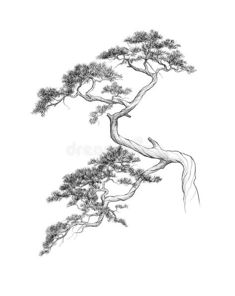 Japanese Tree Sketch, Banzai Tree Tattoo, Korean Tree Tattoo, Japanese Trees Painting, Chinese Tree Drawing, Japanese Bonsai Tree Drawing, Asian Tree Tattoo, Bonsie Trees Tattoo, Bonzi Trees Tattoo