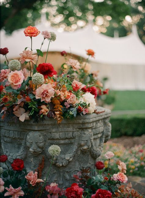 Inside Sophia Bush and Grant Hughes’s Tulsa Wedding | Vogue Sophia Bush Wedding, Flower Mood Board, Wedding Vogue, Tulsa Wedding, Bush Wedding, Black Wall Street, Vogue Wedding, Shine A Light, Oklahoma Wedding