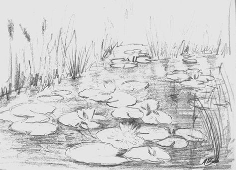 Water Lilies Sketch, Koi Pond Sketch, Pond Landscape Drawing, How To Draw Water Lilies, Water Pond Drawing, Fairy Pond Drawing, Pond Aesthetic Drawing, Pond Sketch Pencil Drawings, Coi Pond Drawing