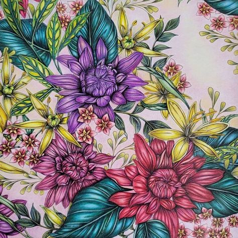 Flowerscape Coloring Book on Instagram: “What a dreamy piece by @ami_j_k_coloring ! Loving the palette and shading on this one. Have you colored a page in Flowerscape lately?” Flowerscape Coloring, Maggie Enterrios, Pencil Coloring, Hand Painted Scarves, How To Shade, Coloring Inspiration, Art Impressions, Mandalay, Color Pencil Art