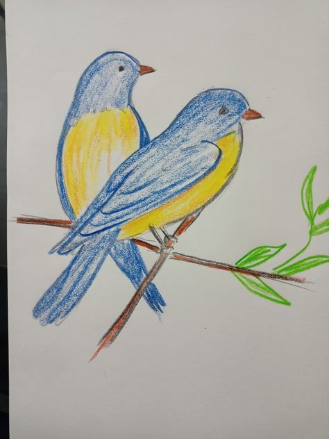 Bird drawing, plastic crayons,bird drawing. Bird Drawing, Crayon Art, Book Art Diy, Bird Drawings, Art Diy, Crayon, Book Art, Drawings, Animals