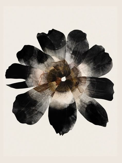 Black Things Aesthetic, Paint Aesthetic Ideas, Black Poster Aesthetic, Black Flowers Aesthetic, Black And White Mood Board, Flor Aesthetic, M Aesthetic, Black Vibe, Black And White Watercolor