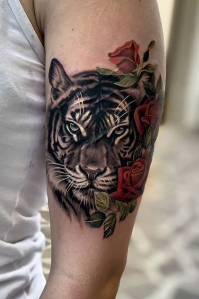 Tiger And Rose Tattoo For Women, Tiger Tattoo With Roses, 2 Tiger Tattoo For Women, Tiger Mom Tattoo, Tiger Tattoo Black Women, Tiger Couple Tattoo, Tiger Face Tattoo For Women, Tiger With Roses Tattoo, Tattoo Ideas Female Tiger