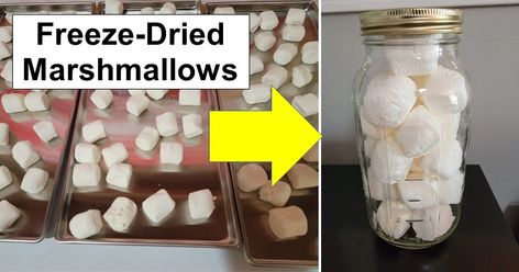 How To Freeze Dry Marshmallows, Dehydrate Marshmallows, Freeze Dried Marshmallows, Dried Marshmallows, Prepping 101, Temperature Chart, Survival Hacks, Large Mason Jars, Dried Food