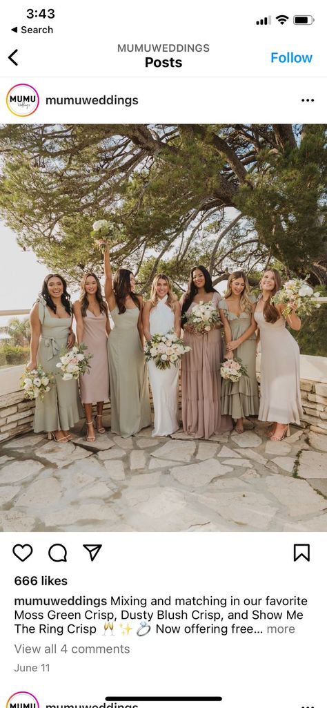 Blush Wedding Palette, Bridesmaid Palette, Bridesmaid Dresses Different Colors, Moss Green Wedding, Bridesmaid Color Palette, Bridesmaid Dresses Color Palette, Moss Bridesmaid Dress, Bridesmaid Color Scheme, Blush Wedding Theme