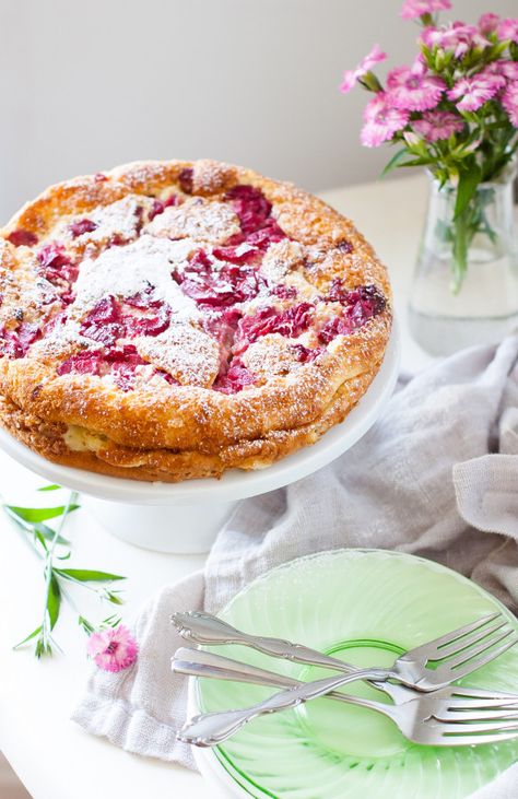 Rhubarb Custard Cake, Rhubarb Rhubarb, Magic Custard Cake, Rhubarb Custard, Dessert Oreo, Rhubarb Desserts, Rhubarb Cake, Rhubarb And Custard, Custard Cake