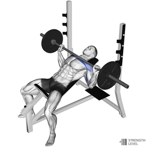 Gym Station, Incline Bench Press, Bench Press Workout, Seated Leg Curl, Free Workout Plans, Push Workout, Best Chest Workout, Push Day, Incline Bench