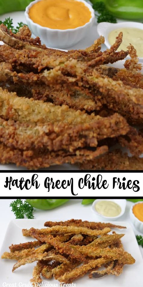 Hatch Green Chile Fries is an easy appetizer recipe, made with New Mexico hatch green chiles that are cut into long strips then dipped into a flour mix, then dip into buttermilk/egg mix and lastly dip into a panko/tempura mixture and fry to crispy perfection. Green Chile Cheese Fries, Fresh Hatch Chili Recipes, Green Chili Fries, Vegetarian Hatch Green Chile Recipes, Recipes With Green Chiles, Recipes With Roasted Green Chilis, Crispy Chile Rellenos, Hatch Green Chili Recipes, Hatch Green Chile Recipes