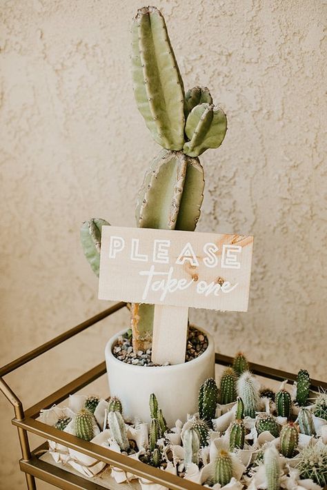 Cactus Baby Shower Ideas Rodeo Baby Shower, Shower Photos, Rodeo Baby, Boho Cactus, Cowgirl Baby Showers, Cow Baby Showers, Cowgirl Baby, Cowboy Baby Shower, Amazon Baby