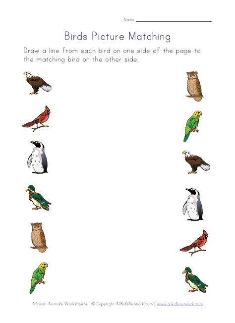 Bird worksheets for several different skills Birds For Kids, Matching Worksheets, Bookmarks Kids, Bird Theme, Color Worksheets, Bird Pictures, Activity Sheets, Learn French, Preschool Worksheets