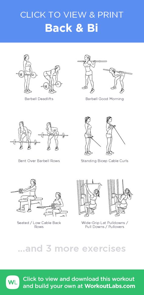 Back Bis Tris Workout, Back And Bis Workout, Back And Bi Workout, Bi Workout, Lat Workout, Bicep Workouts, Back And Bis, Workout Labs, Work Out Routines Gym