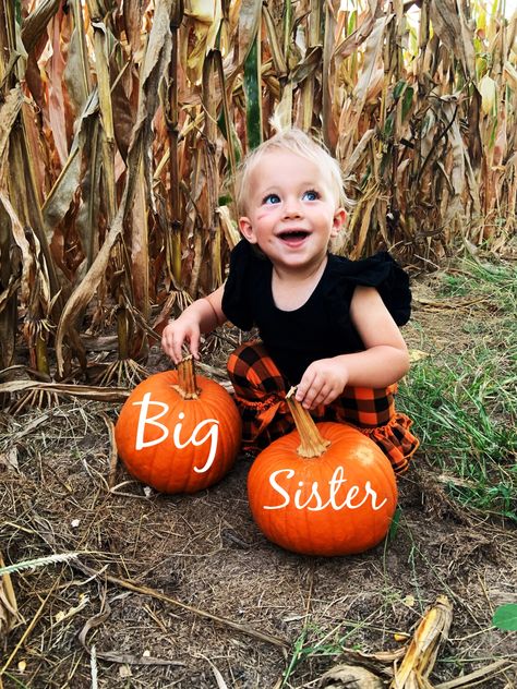 Big Sister Pumpkin Announcement, Big Sister Fall Announcement, October Pregnancy Announcement Baby 2, Thanksgiving Sibling Announcement, Halloween Big Sister Announcement, Pumpkin Baby Announcement With Sibling, Fall Big Sister Announcement, Cute Fall Pregnancy Announcements, Pregnancy Announcement Fall Ideas