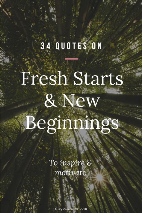 New Day New Beginning Quotes Fresh Start, Lifestyle Change Quotes Motivation, Quote On New Beginnings, Fresh Beginnings Quotes, Starting Something New Quotes Motivation, Motivational Quotes For Starting Over, Positive Quotes For Change, Quotes Of New Beginnings, Inspirational Quotes About New Beginning