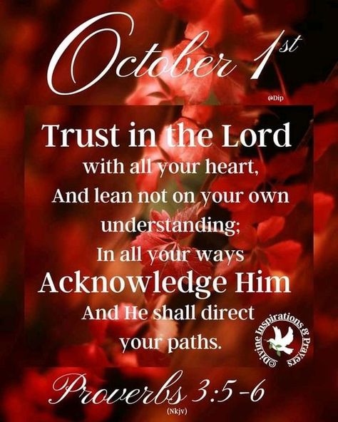 1 October Quotes, October 1st Quote, Faith In God Quotes, October Quotes, Good Morning Happy Sunday, Morning Prayer Quotes, Good Morning God Quotes, Happy October, Birthday Blessings