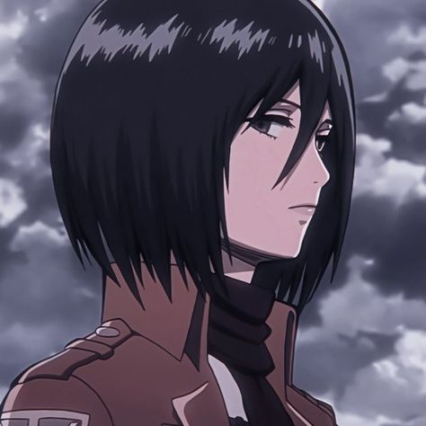 Icon Mikasa | Mikasa | Mikasa Ackerman | Attack on Titan | Shingeki no Kyojin | Anime icon | Anime | Manga | Ruby Froste Universal Language, Mikasa Ackerman, Attack On Titan, The Ordinary, Hair, Anime, Beauty