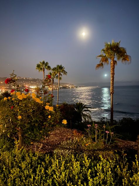 #laguna #lagunabeach #beach #beachhouse #beachatnight #beachnignt #aesthetic Laguna Beach House Aesthetic, California Mexican Aesthetic, Laguna Beach California Houses, Newport California Aesthetic, Irvine California Aesthetic, California Beach House Aesthetic, Laguna Beach California Aesthetic, Long Beach Aesthetic, Newport Beach California Aesthetic