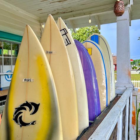 Surfboard aesthetic surfing surf girl coconut girl aesthetic surfing aesthetic Outer Banks Tv Show, Surfboard Aesthetic, Surf Aesthetic Outfit, Outer Banks Kiara, Aesthetic Surfing, Obx Vibes, Surviving Summer, Kiara Carrera, Surfing Aesthetic