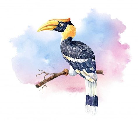 Great Hornbill, Hornbill Bird, China Culture, Bird Watercolor Paintings, Bird Watercolor, Futuristic Background, Flat Icons Set, Diy Watercolor Painting, Travel Stickers