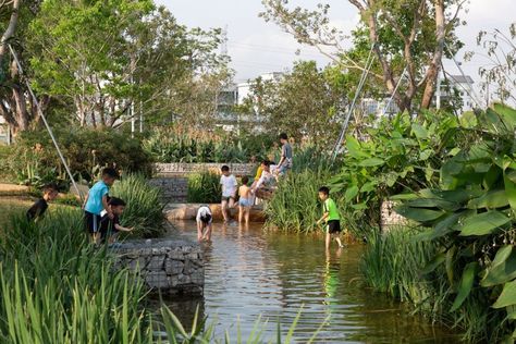 Retention Pond, Eco Village, Wetland Park, Alpine Garden, Pedestrian Walkway, Park Landscape, Shenzhen China, Water Management, Lake Park