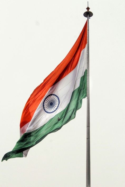 15-August-Images-Download | 15-August-DP |15-August-Wallpaper | 15-August-Gif | 15-August-Status | - 15 August Images Download Indian Flag, Independence Day, Hd Wallpaper, Flag, India