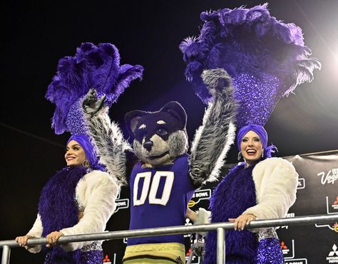 University of Washington Huskies Sports ⚽️⚾️🥎🏀🏐🎾🏈 • • • #huskies #godawgs #PurpleReign #ncaa #uofw #bowdown #universityofwashington #huskynation #ncaafootball #pac12 #collegefootball #collegebaseball #collegesoftball #collegesoccer #collegebasketball #pnwsports #pnw #collegevolleyball #collegetennis #pac12football #pac12hoops #pac12wbb Huskies Aesthetic, Uw Huskies, College Tennis, University Of Washington Huskies, I Love School, College Soccer, College Baseball, Dream College, Washington Huskies