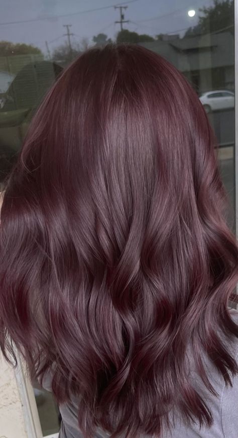 Dark Red With Purple Highlights, Plum Red Highlights On Dark Hair, Dark Reddish Purple Hair, Purple Reddish Hair, Dark Purple Brown Hair, Wine Red Hair Dye, Brown Hair With Purple Undertones, Wine Brown Hair, Brown Hair Purple Highlights