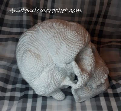 Adventures into Anatomical Crochet: Anatomically correct skull Crochet Bones Free Pattern, Crochet Bone Pattern Free, Skull Crochet Pattern Free, Crochet Bone, Anatomical Crochet, Crochet Skeleton, Anatomical Skeleton, Crochet Halloween Decorations, Life Size Skeleton