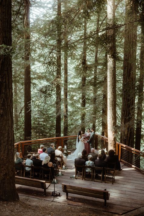 Oregon Woods Wedding, Wedding Elopement Ideas Destinations, Elope Locations, Elope With Family, Eloping Wedding, Oregon Wedding Venues, Redwood Deck, Elopement Wedding Ideas, Under A Waterfall