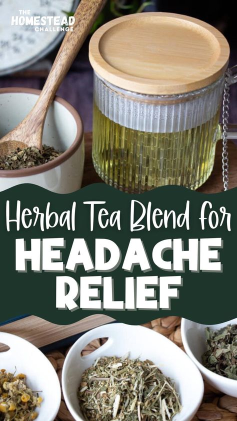 yellow tea and herbs Herbs For Headaches, Tea For Migraines, Teas For Headaches, Tea Blends Recipes, Herbal Tea Garden, Herbal Medicine Recipes, Best Herbal Tea, Herbal Remedies Recipes, Medicinal Tea