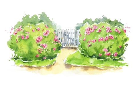 Wooden Garden Gate, Flower Bush, Illustration Journal, Rose Bushes, Rose Illustration, Watercolor Images, Logo Line, Rose Bush, Watercolor Flowers Paintings