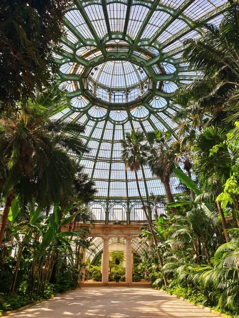 The Royal Greenhouses of Laeken, Belgium Royal Greenhouse, Belgium Aesthetic, Visit Brussels, Brussels Travel, Belgium Travel, Brussels Belgium, European Tour, Future Travel, Greenhouses