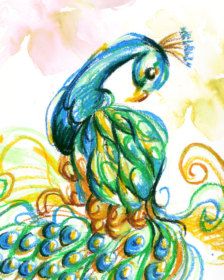 Crayon Decor, Pastel Illustration, Crayon Drawings, Artwork Inspiration, Pastel Artwork, Animal Artwork, Peacock Painting, Peacock Art, Brush Markers