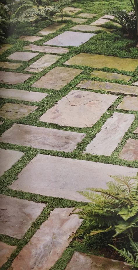 Grass Pavers, Pathway Ideas, Pathway Landscaping, Courtyard Gardens Design, Stone Walkway, Garden Entrance, Garden Walkway, Have Inspiration, Garden Pathway