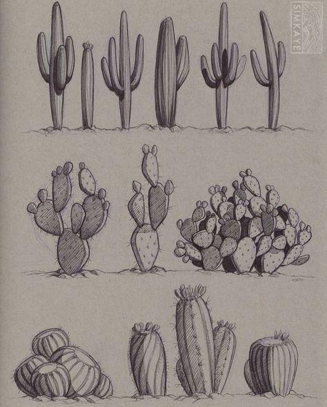 Desert Drawing, Desert Tattoo, Arte Cowboy, Pen Sketches, Plant Sketches, Cactus Tattoo, Cactus Drawing, Sketch Ink, Western Tattoos