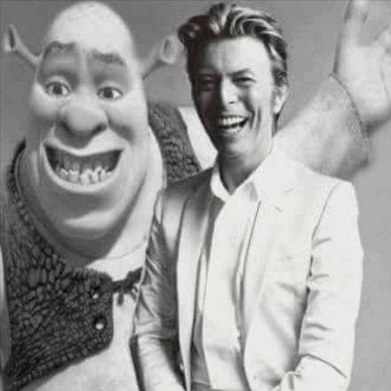 David Bowie and Shrek David Bowie Meme, David Bowie Makeup, David Bowie Pictures, David Bowie Tribute, One Photo, Shrek, David Bowie, First Photo, Memes