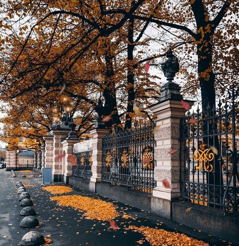 Whether you have a huge passion for photography or you just want to have a nice and clean instagram feed, this is the post for you. Aesthetic Views, Leaves Falling, Fotografi Kota, Autumn Scenery, French Interior, Autumn Beauty, Autumn Vibes, Saint Petersburg, Autumn Aesthetic