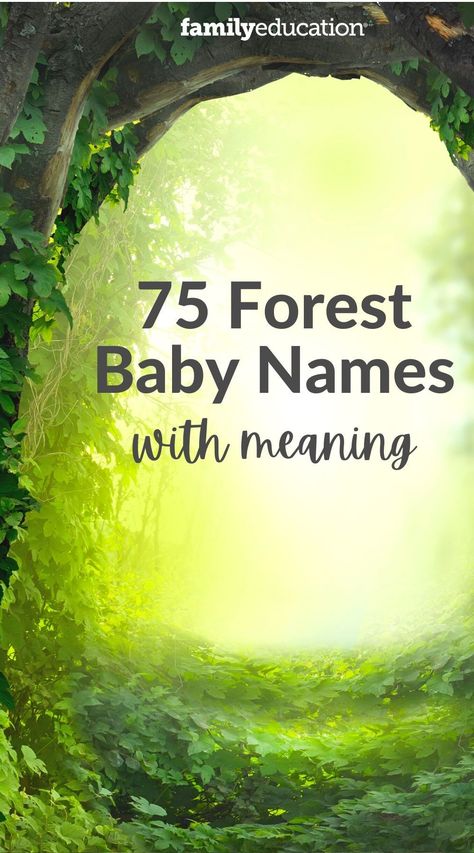 Nature Names With Meaning, Daisy Name Aesthetic, Forest Names Girl, Earth Names And Meanings, Forest Names Nature, Tree Names For Babies, Female Nature Names, Names Meaning Forest, Names That Mean Green