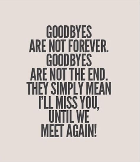 "I'll miss you until we meet again." Bittersweet Quotes, Goodbyes Are Not Forever, Goodbye Quotes, Until We Meet Again, Meet Again, Good Year, We Meet Again, A Quote, Great Quotes